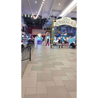 Active Z on August 2025