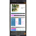 1998 (Sparky 2006) (BSP AAA)