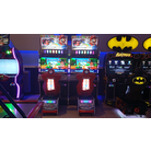 Mario Kart Arcade GP DX (Racer cameras don't work)