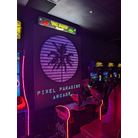 Space Invaders Frenzy
