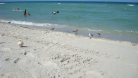 Beach Pictures