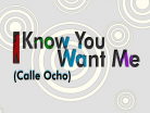 I Know You Want Me (Calle Ocho)
