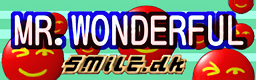 Mr. Wonderful