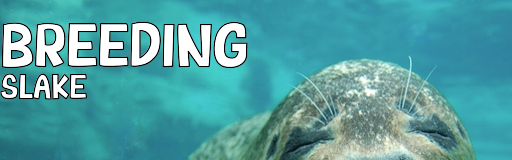 BREEDING