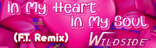 IN MY HEART IN MY SOUL (F.T. Remix)