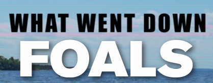 What Went Down