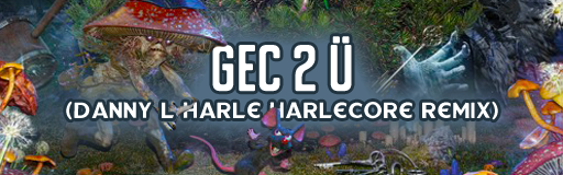 gec 2 U (Danny L Harle Harlecore Remix)