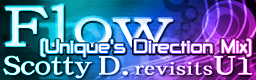 Flow (Unique's Direction Mix)