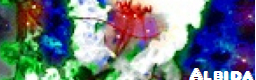 ALBIDA