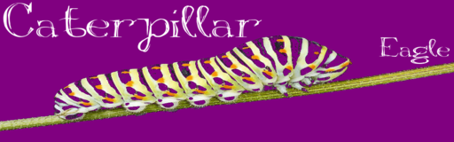 Caterpillar