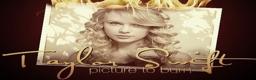 Picture to Burn