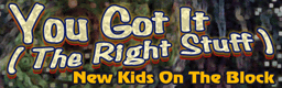 You Got It (The Right Stuff)