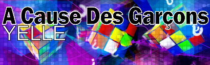 A Cause Des Garçons