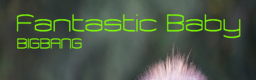 Fantastic Baby