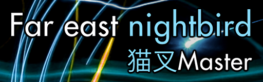 Far east nightbird