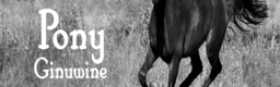 Pony