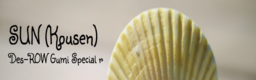 SUN (Kousen)
