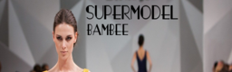 SUPERMODEL