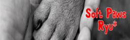 Soft Paws