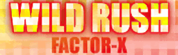 WILD RUSH (FROM NONSTOP MEGAMIX)