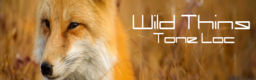 Wild Thing