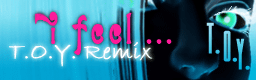 i feel... (T.O.Y. Remix)