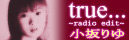 true... (radio edit)