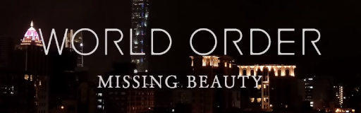 MISSING BEAUTY