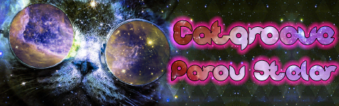 Catgroove