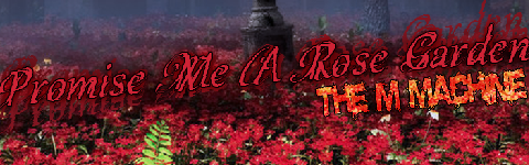 Promise Me A Rose Garden