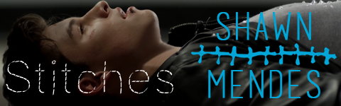Stitches