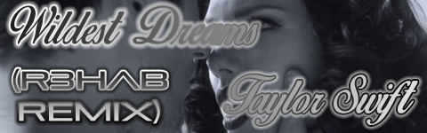 Wildest Dreams (R3hab Remix)