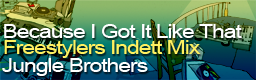 Because I Got It Like That (Freestylers Indett Mix)