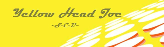 Yellow Head Joe