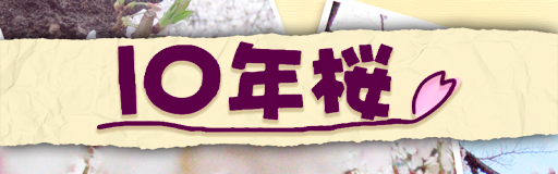 10nen sakura
