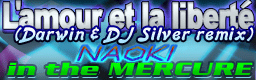 L'amour et la liberte(Darwin & DJ Silver remix)