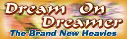 Dream On Dreamer