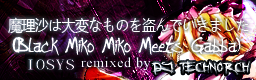 魔理沙は大変なものを盗んでいきました (Marisa Stole The Precious Thing) (Black Miko Miko Meets Gabba)