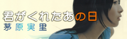 KIMI GA KURETA ANO HI