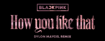 How You Like That (Dylon Maycel Remix)