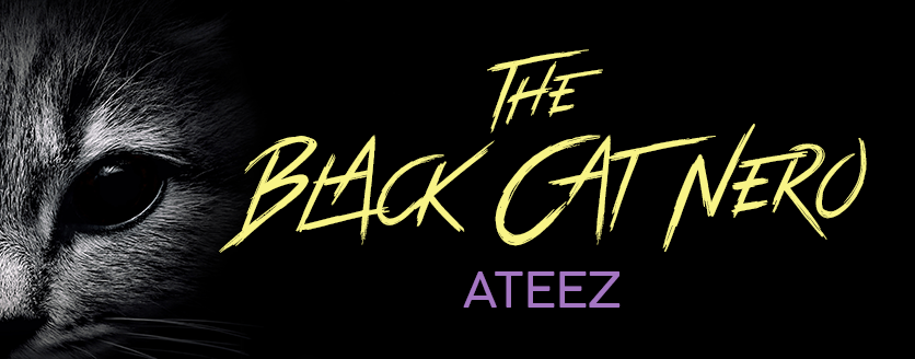 The Black Cat Nero