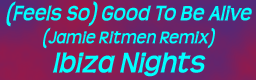 (Feels So) Good To Be Alive (Jamie Ritmen Remix)
