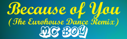 Because Of You (The Eurohouse Dance Remix)