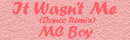 It Wasn't Me (Dance Remix)