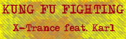 Kung Fu Fighting