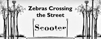 Zebras Crossing the Street