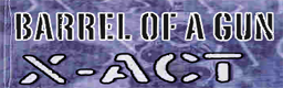 Barrel Of A Gun