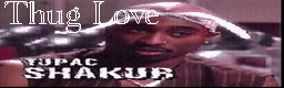 Thug Love (explicit lyrics)