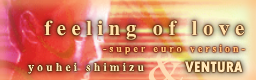 feeling of love -super euro version-