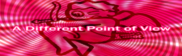 A Different Point of View